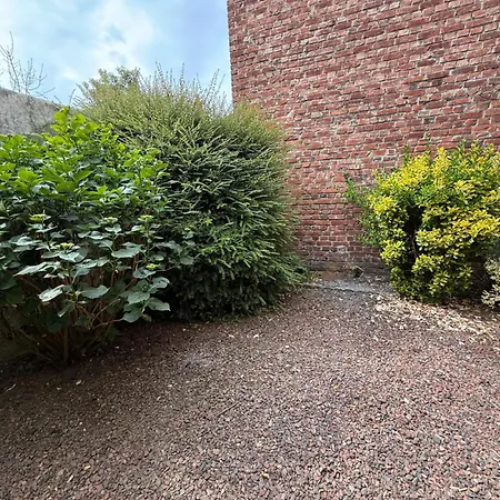 Malo Etoile Proche De La Dunkirk