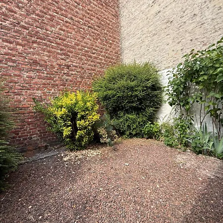 Malo étoile Proche De La Villa