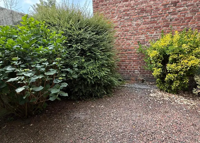 Malo Etoile Proche De La Dunkirk