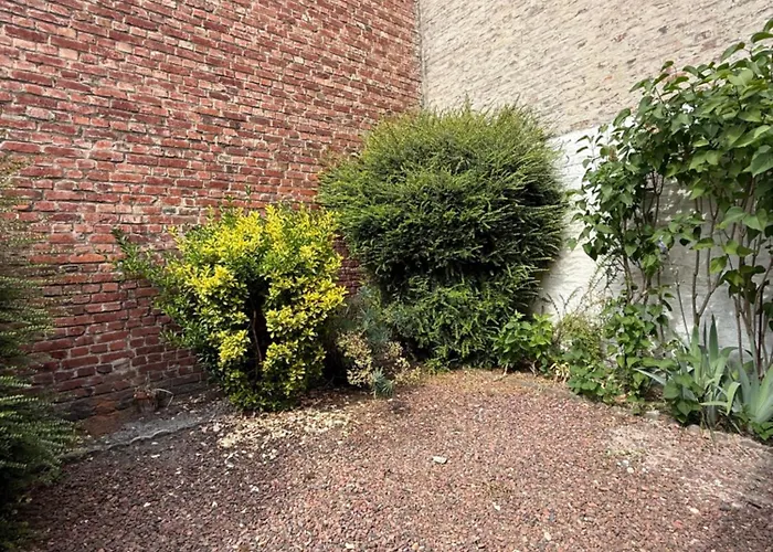 Malo Etoile Proche De La Villa